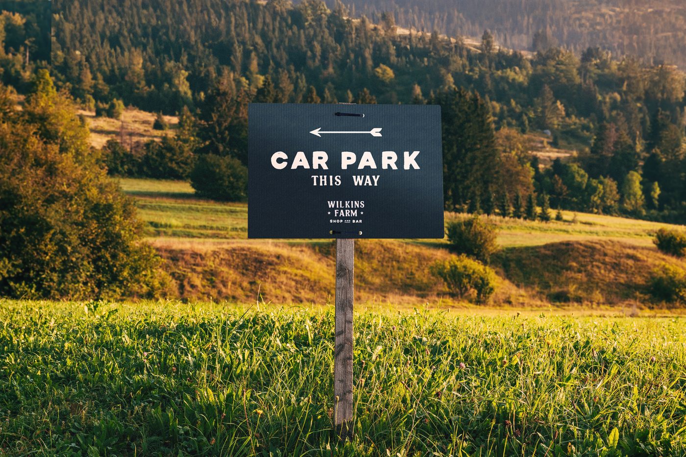 Correx Signs